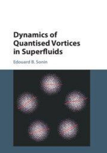 Produktbild: Dynamics of Quantised Vortices in Superfluids