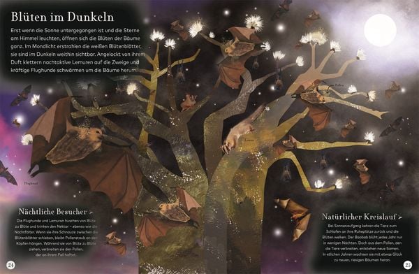 Produktbild: Wundervolle Reise durch die Nacht