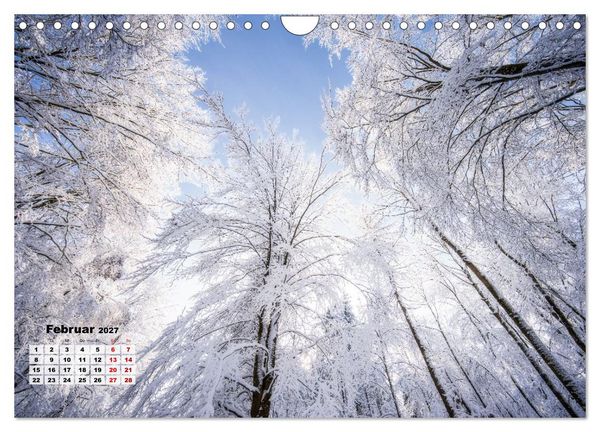 Produktbild: Waldspazierg&auml;nge: Entspannen - Kraft tanken - Besinnen auf sich selbst (Wandkalender 2027 DIN A4 quer), CALVENDO Monatskalender