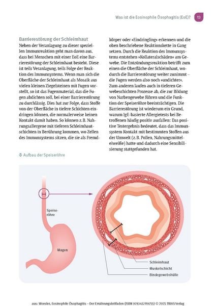 Produktbild: Eosinophile &Ouml;sophagitis - Der Ern&auml;hrungsleitfaden
