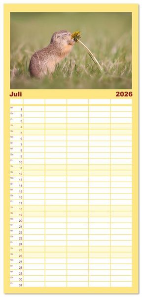 Produktbild: Familienplaner 2026 - Zauberhafte Ziesel mit 5 Spalten (Wandkalender, 21 x 45 cm) CALVENDO