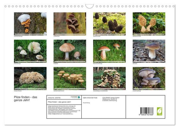 Produktbild: Pilze finden - das ganze Jahr! (Wandkalender 2027 DIN A3 quer), CALVENDO Monatskalender