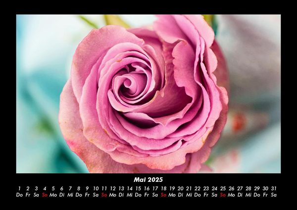 Produktbild: Rosentraum 2025 Fotokalender DIN A3
