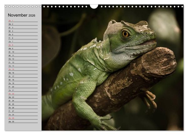Produktbild: Kaltes Blut. Faszination Reptilien (Wandkalender 2026 DIN A3 quer), CALVENDO Monatskalender