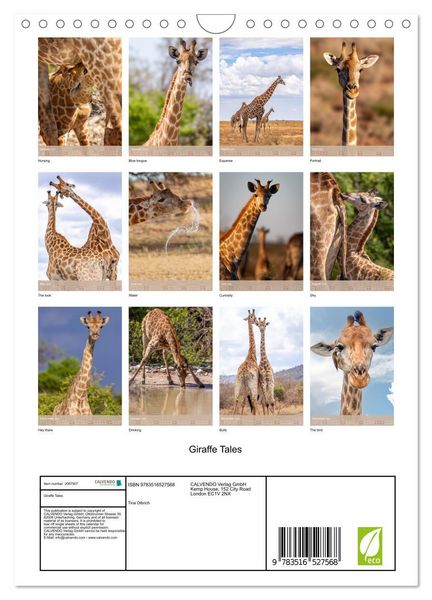 Produktbild: Giraffe Tales (Wall Calendar 2026 DIN A4 portrait), CALVENDO 12 Month Wall Calendar