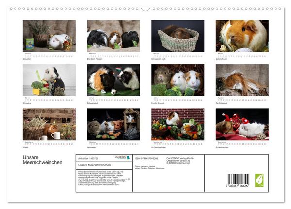 Produktbild: Unsere Meerschweinchen (hochwertiger Premium Wandkalender 2026 DIN A2 quer), Kunstdruck in Hochglanz