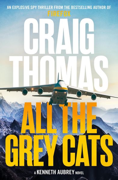Produktbild: All the Grey Cats