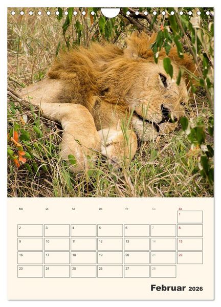 Produktbild: Kenia - Terminplaner (Wandkalender 2026 DIN A4 hoch), CALVENDO Monatskalender