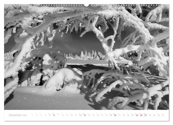 Produktbild: Mystischer Schwarzwald (Wandkalender 2026 DIN A2 quer), CALVENDO Monatskalender