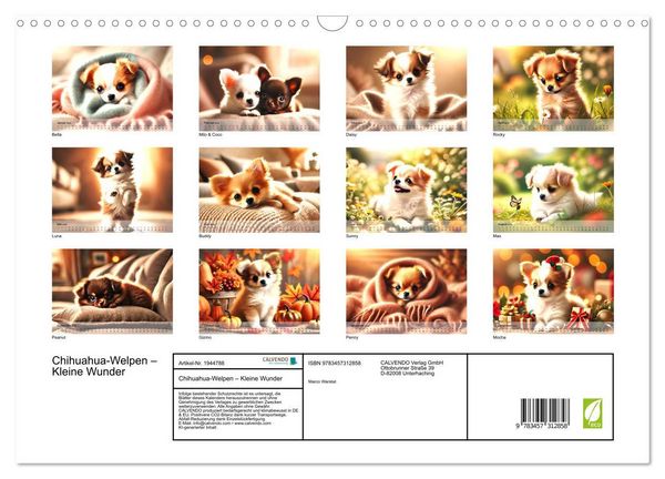 Produktbild: Chihuahua-Welpen &ndash; Kleine Wunder (Wandkalender 2026 DIN A3 quer), CALVENDO Monatskalender