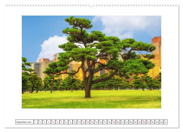 Produktbild: Tokio - Tradition und Moderne (hochwertiger Premium Wandkalender 2026 DIN A2 quer), Kunstdruck in Hochglanz