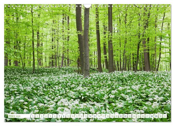 Produktbild: Eifel Reise - romantische Orte (Wandkalender 2026 DIN A3 quer), CALVENDO Monatskalender