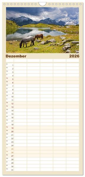Produktbild: Familienplaner 2026 - Pferde und Ponys im Paradies mit 5 Spalten (Wandkalender, 21 x 45 cm) CALVENDO