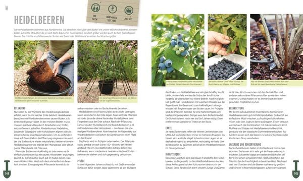 Produktbild: Ackerhelden - Biog&auml;rtnern f&uuml;r Einsteiger
