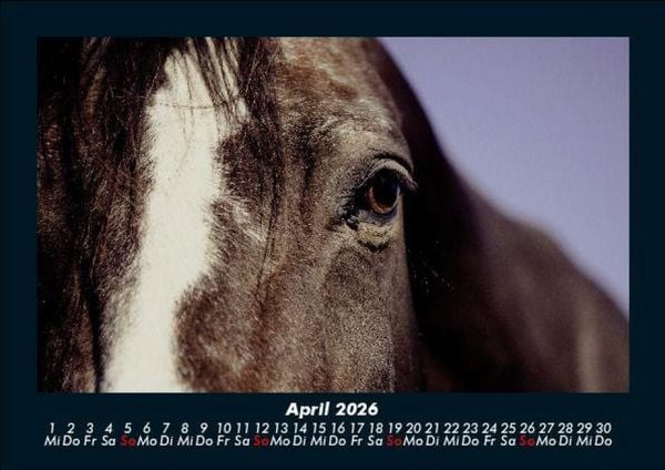 Produktbild: Pferdegefl&uuml;ster 2026 Fotokalender DIN A5