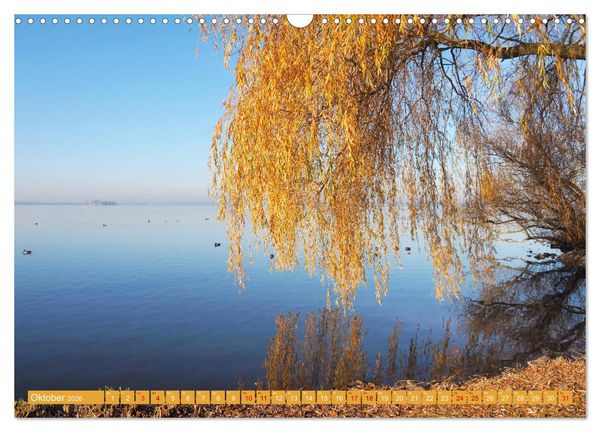 Produktbild: Traumhaftes Steinhuder Meer (Wandkalender 2026 DIN A3 quer), CALVENDO Monatskalender
