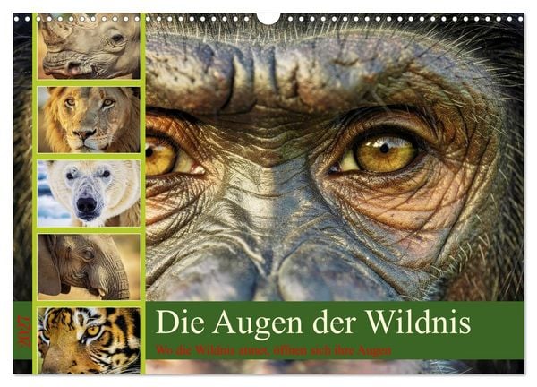 Produktbild: Die Augen der Wildnis (Wandkalender 2027 DIN A3 quer), CALVENDO Monatskalender