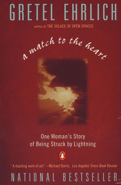 Produktbild: A Match to the Heart