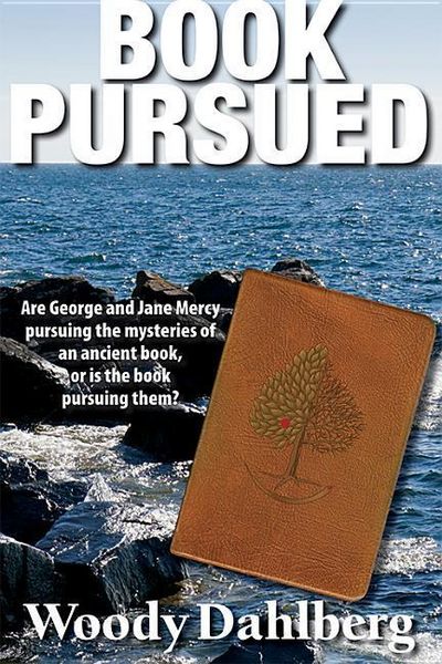 Produktbild: Book Pursued
