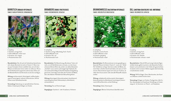 Produktbild: Lieblingskr&auml;uter &ndash; Alles &uuml;ber Anbau, Pflege und Verwendung