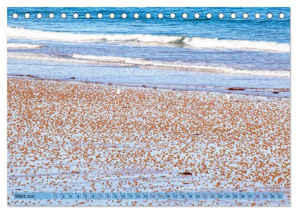 Produktbild: Bretagne und Normandie - Vor der Flut beobachten und entdecken (Tischkalender 2026 DIN A5 quer), CALVENDO Monatskalender