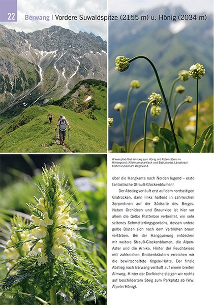 Produktbild: Die sch&ouml;nsten Bl&uuml;ten-Wanderungen in Oberbayern & Tirol, Band 2