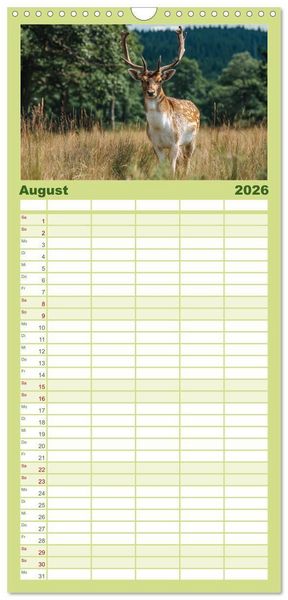 Produktbild: Familienplaner 2026 - HIRSCHE UND REHE - Ein Jahr in freier Wildbahn mit 5 Spalten (Wandkalender, 21 x 45 cm) CALVENDO