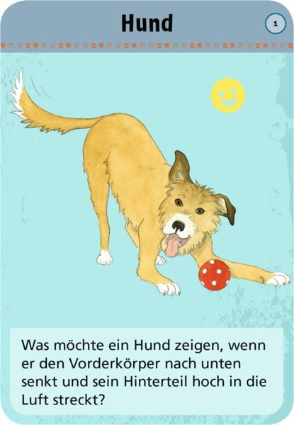 Produktbild: 50x tierische Gef&uuml;hle