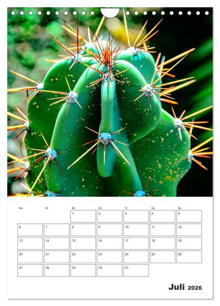 Produktbild: Dornige Sch&ouml;nheiten - Kakteen und Sukkulenten (Wandkalender 2026 DIN A4 hoch), CALVENDO Monatskalender