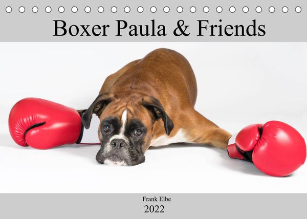 Produktbild: Boxerh&uuml;ndin Paula and Friends (Tischkalender 2022 DIN A5 quer)