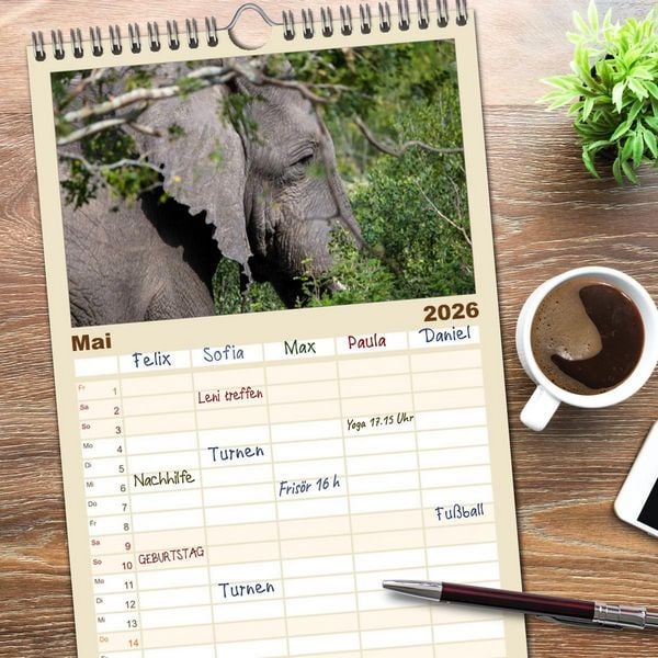 Produktbild: Familienplaner 2026 - begegnungen - elefanten im s&uuml;dlichen afrika mit 5 Spalten (Wandkalender, 21 x 45 cm) CALVENDO
