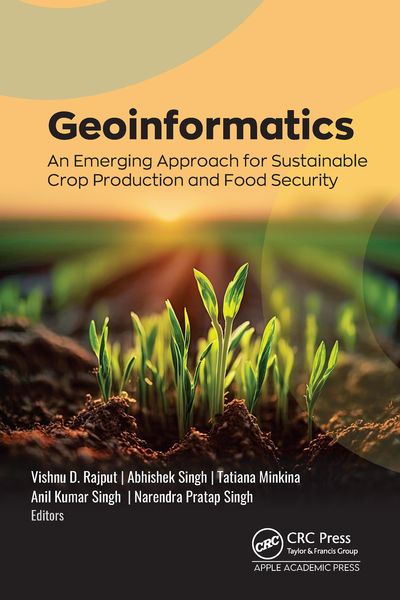 Produktbild: Geoinformatics