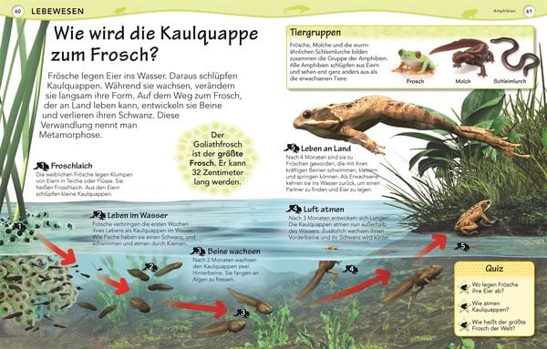 Produktbild: Weshalb? Deshalb!