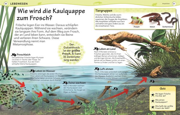 Produktbild: Weshalb? Deshalb!