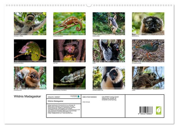 Produktbild: Wildnis Madagaskar (hochwertiger Premium Wandkalender 2027 DIN A2 quer), Kunstdruck in Hochglanz