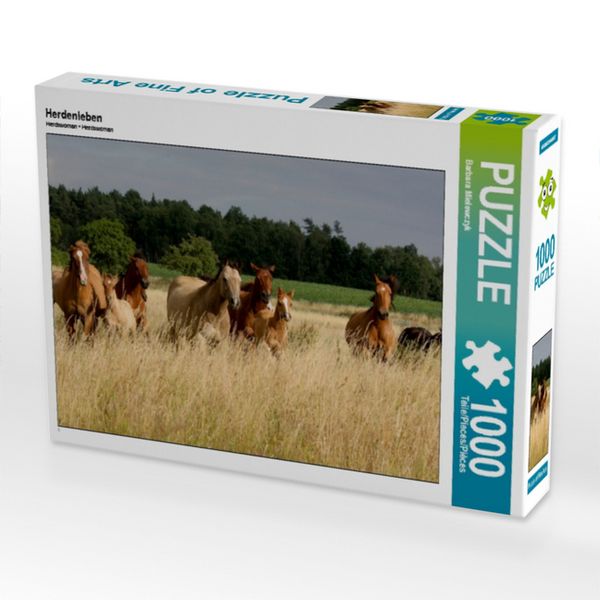 CALVENDO Puzzle Herdenleben | 1000 Teile Lege-Größe 64x48cm Foto-Puzzle für glückliche Stunden