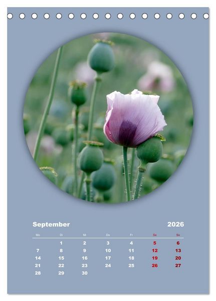 Produktbild: Rundherum Natur (Tischkalender 2026 DIN A5 hoch), CALVENDO Monatskalender