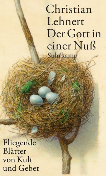 Produktbild: Der Gott in einer Nuß