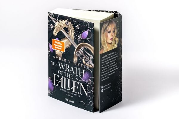 Produktbild: The Wrath of the Fallen - G&ouml;tter & Monster 4