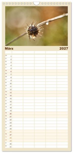 Produktbild: Familienplaner 2027 - Verbl&uuml;hte Sch&ouml;nheiten mit 5 Spalten (Wandkalender, 21 x 45 cm) CALVENDO