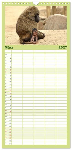 Produktbild: Familienplaner 2027 - Kleine Schelme - Tierbabys mit 5 Spalten (Wandkalender, 21 x 45 cm) CALVENDO