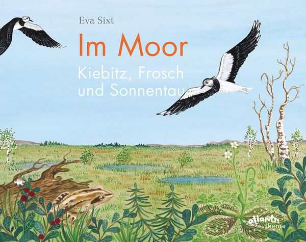 Produktbild: Im Moor &ndash; Kiebitz, Frosch und Sonnentau