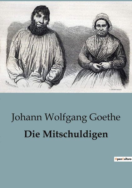 Produktbild: Die Mitschuldigen