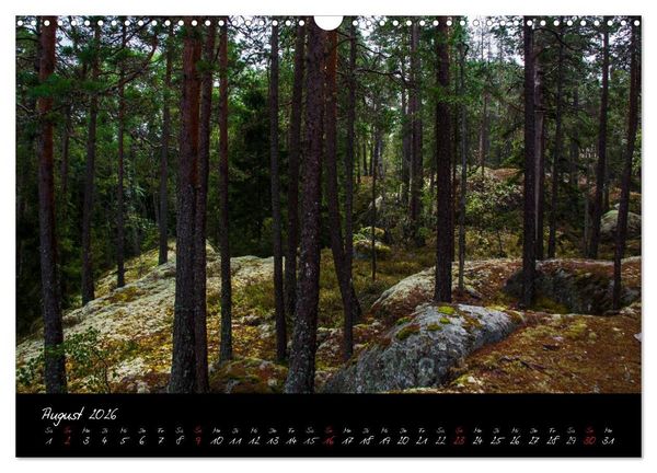 Produktbild: Wald (Wandkalender 2026 DIN A3 quer), CALVENDO Monatskalender