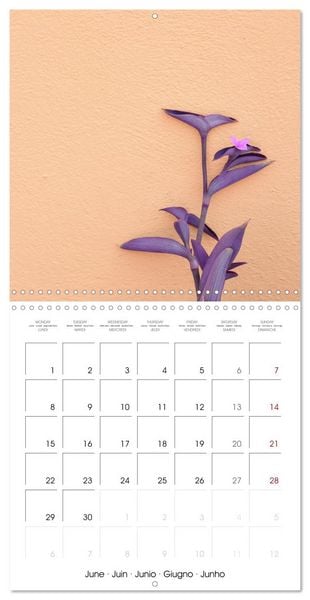 Produktbild: Leaves and flowers of Burano (Wall Calendar 2026 12 &times; 12 Inch) CALVENDO 12 Month Wall Calendar