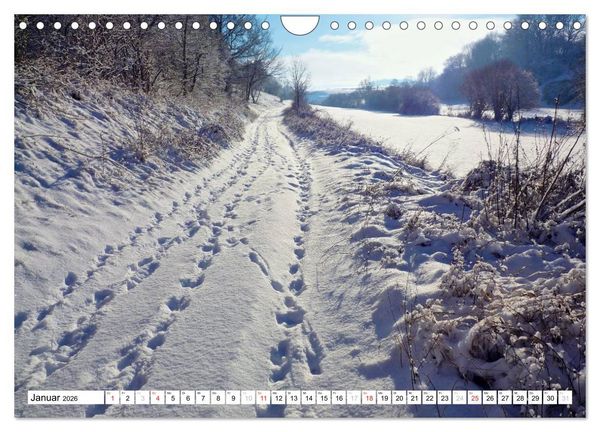 Produktbild: Traumhafte Wege durch die Eifel (Wandkalender 2026 DIN A4 quer), CALVENDO Monatskalender
