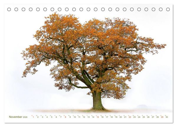 Produktbild: B&Auml;UME - wie gemalt (Tischkalender 2026 DIN A5 quer), CALVENDO Monatskalender