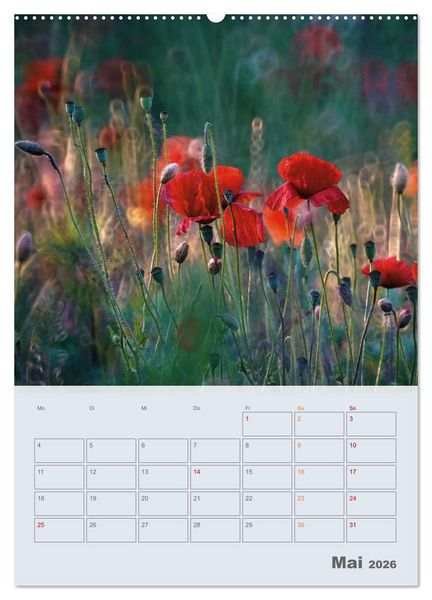 Produktbild: Magie im Garten (Wandkalender 2026 DIN A2 hoch), CALVENDO Monatskalender