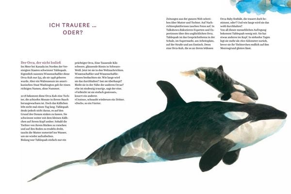 Produktbild: Die Gef&uuml;hle der Tiere: Von eifers&uuml;chtigen Affen, &auml;ngstlichen Hunden und pfiffigen Ratten