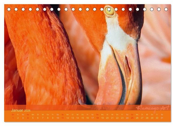 Produktbild: Flamingo Art 2026 (Tischkalender 2026 DIN A5 quer), CALVENDO Monatskalender